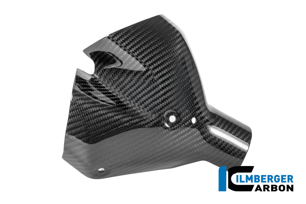Ilmberger Carbon | Exhaust heat shield front carbon glossy BMW R 1300 R — BMW R1300R