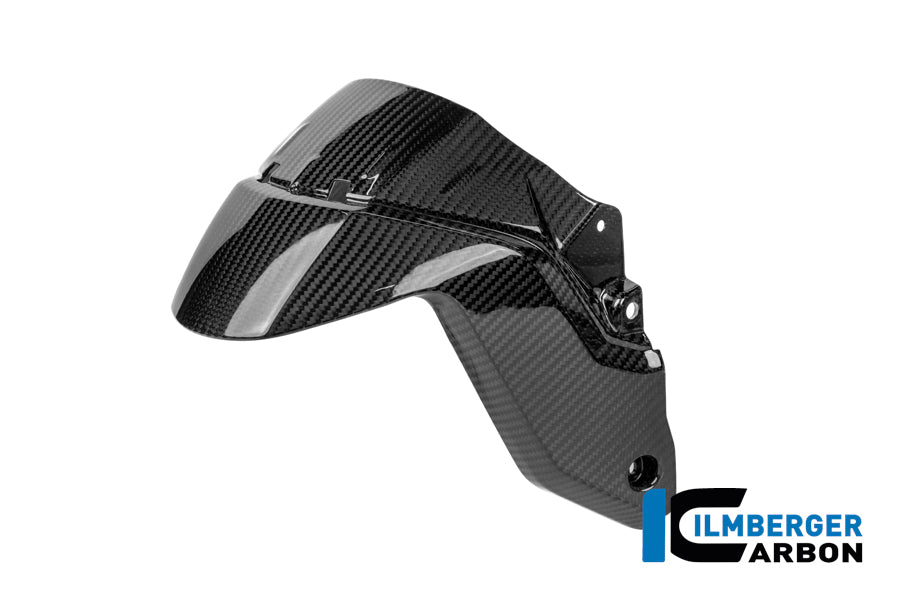 Ilmberger Carbon | Front fender carbon glossy BMW R 1300 R — BMW R1300R