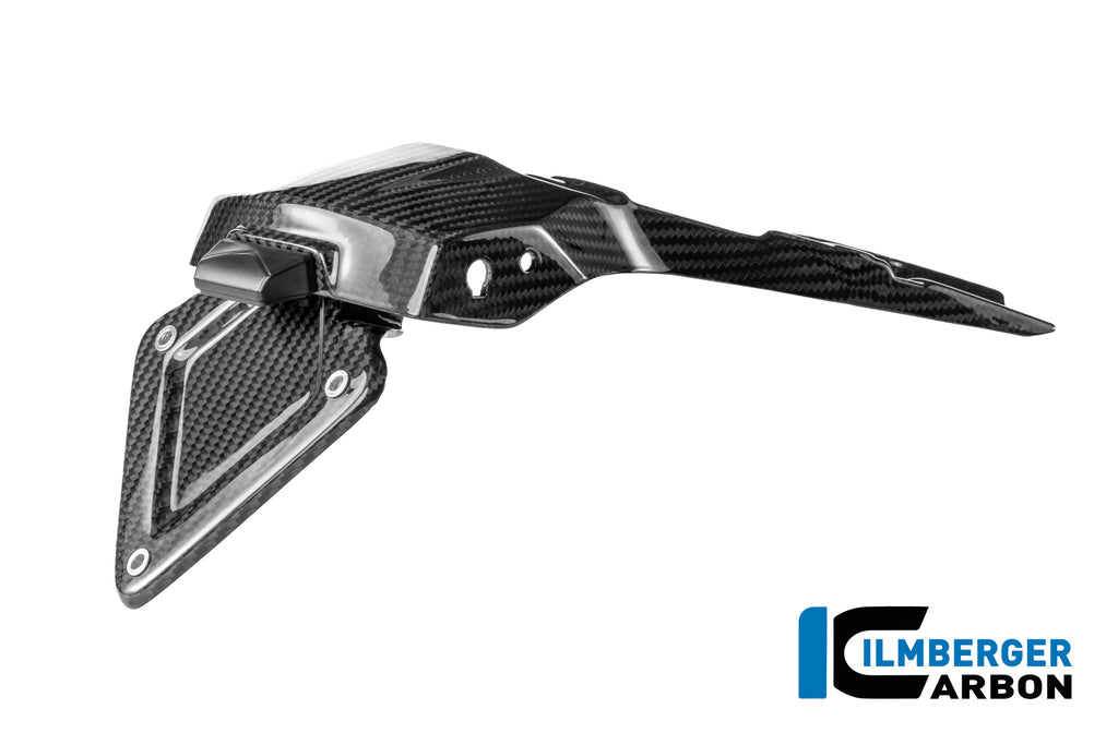 Ilmberger Carbon | License plate holder glossy BMW R 1300 R — BMW R1300R