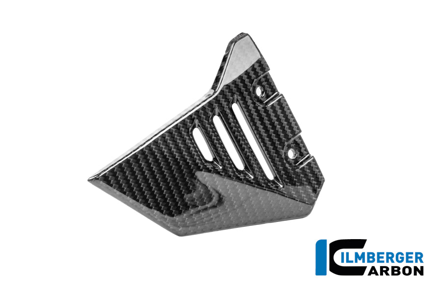 Ilmberger Carbon | Front triangle cover for rear frame left carbon glossy R 1300 GS Adventure — BMW R 1300 GS ADV ab2024 Carbon