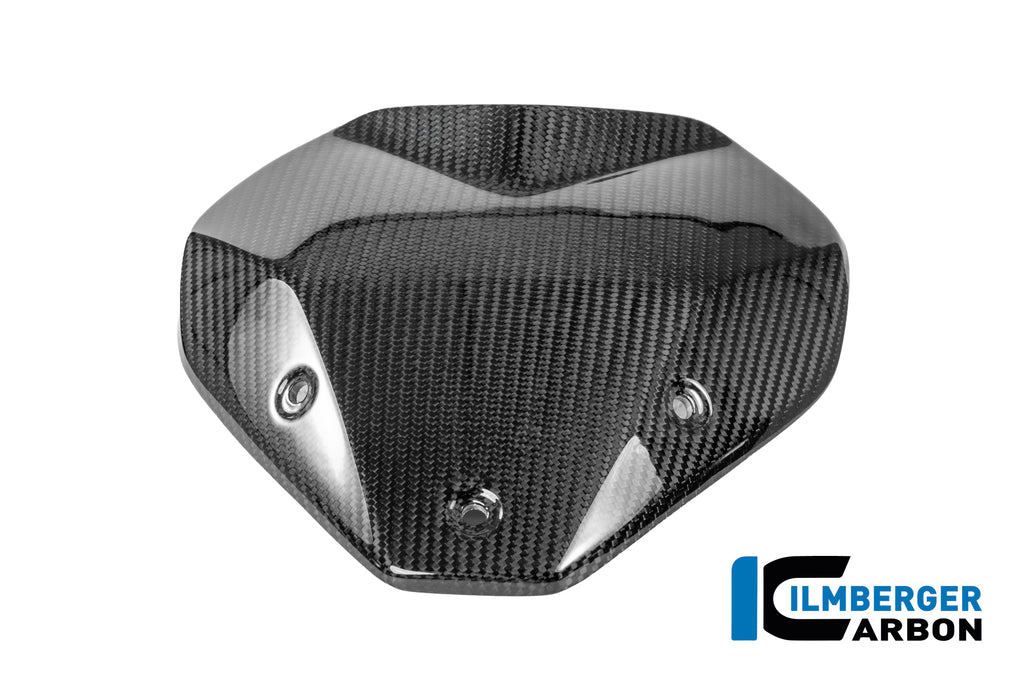 Ilmberger Carbon | Windshield with Holder Carbon Glossy BMW R 1300 R — BMW R1300R