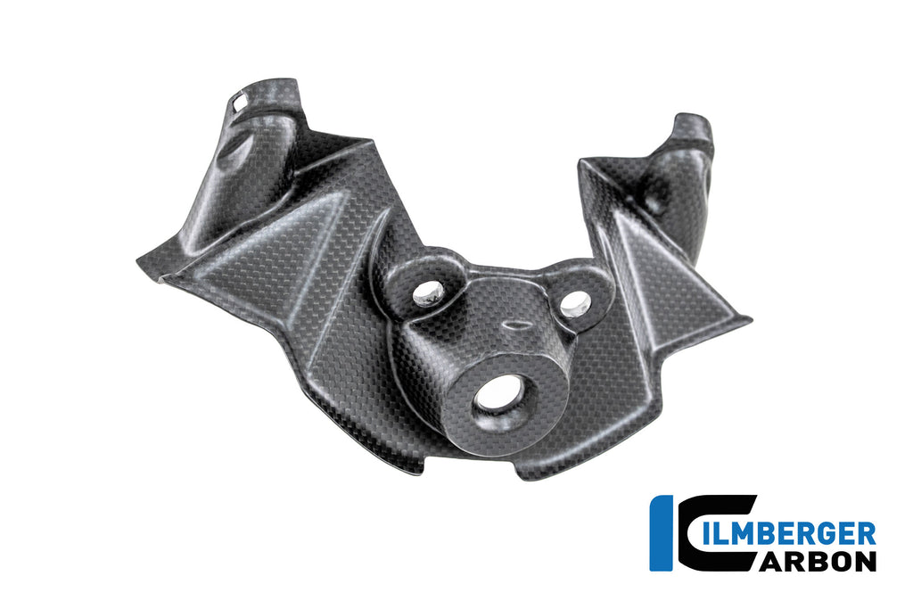 Ilmberger Carbon | Ignition Lock Cover Matte Ducati Streetfighter V4 2025 — Ducati Streetfighter V4S from 2025 carbon