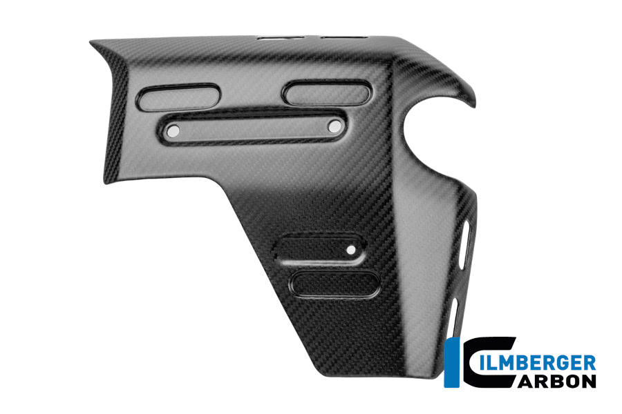 Ilmberger Carbon | Right Water Radiator Cover Matte Carbon R 1300 GS Adventure — BMW R 1300 GS ADV ab2024 Carbon