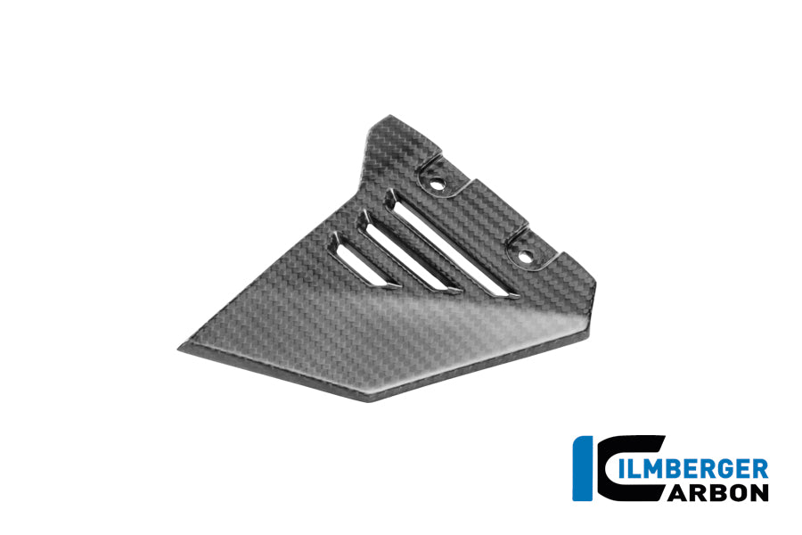 Ilmberger Carbon | Vorderer Dreieckdeckel für hinteren Rahmen links Carbon matt R 1300 GS Adventure — BMW R 1300 GS ADV ab2024 Carbon