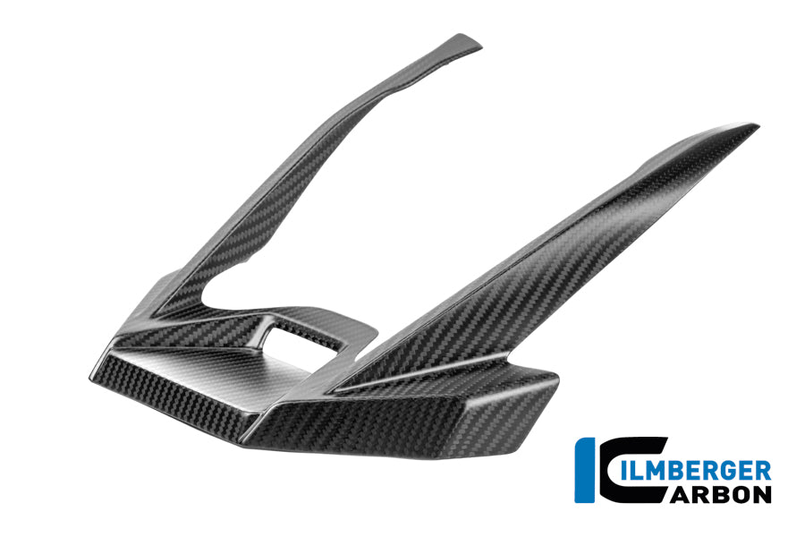 Ilmberger Carbon | Matte Carbon Beak Extension R 1300 GS Adventure — BMW R 1300 GS ADV ab2024 Carbon