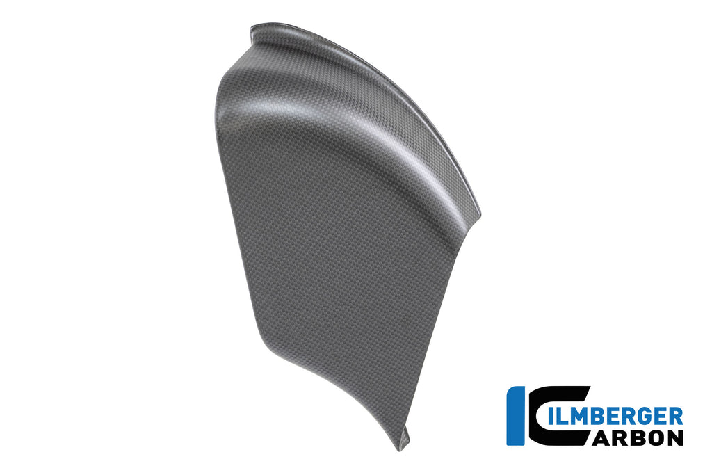 Ilmberger Carbon | Sidepod left Carbon matte Ducati Panigale V4 R 2025 — Ducati PanigaleV4R26