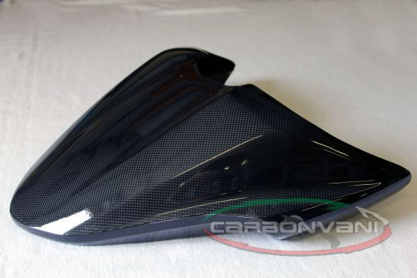 CARBONVANI Tail Section for Ducati Monster 821 / 1200