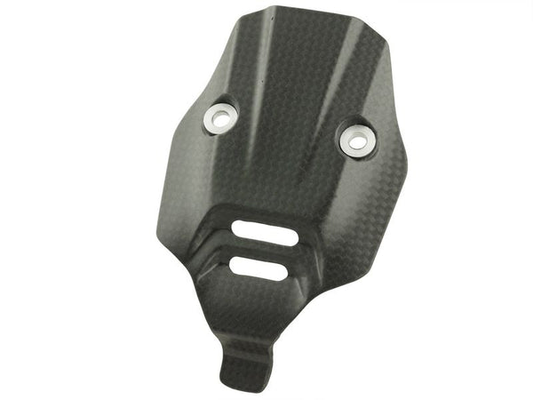 number plate cover carbon for Ducati Panigale V4