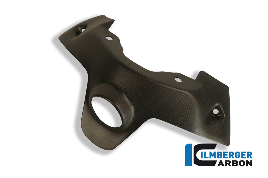 Ilmberger Carbon | Ignition swich cover matt Ducati Panigale 1299 (from 2015) — Ducati 1299 Panigale from 2015