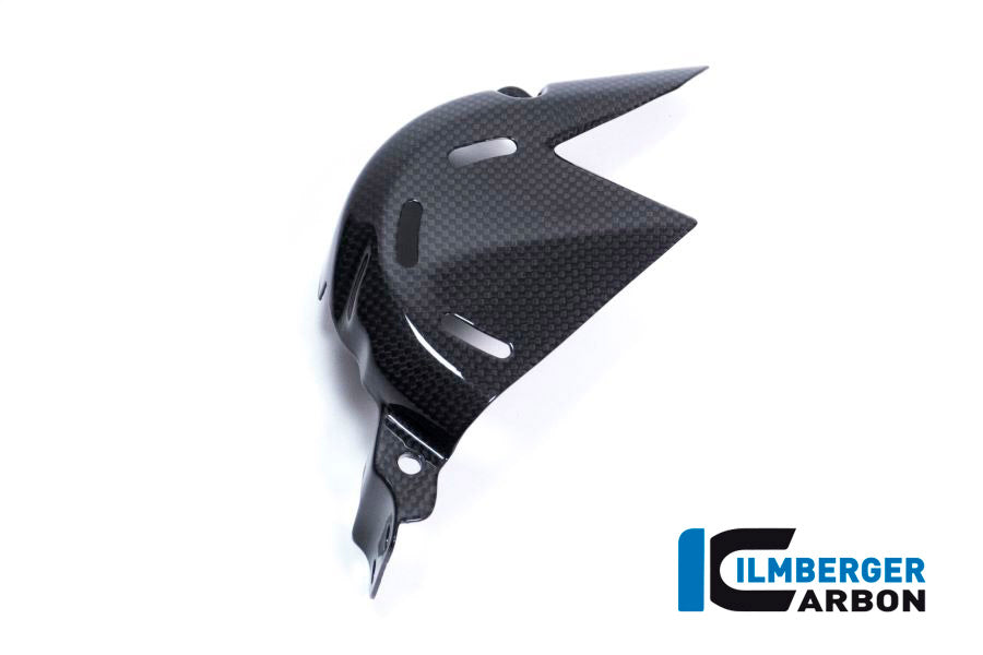 Ilmberger Carbon | Sprocket cover gloss  Ducati Panigale V4 / V4S — Ducati Ducati Panigale V4 from 2018