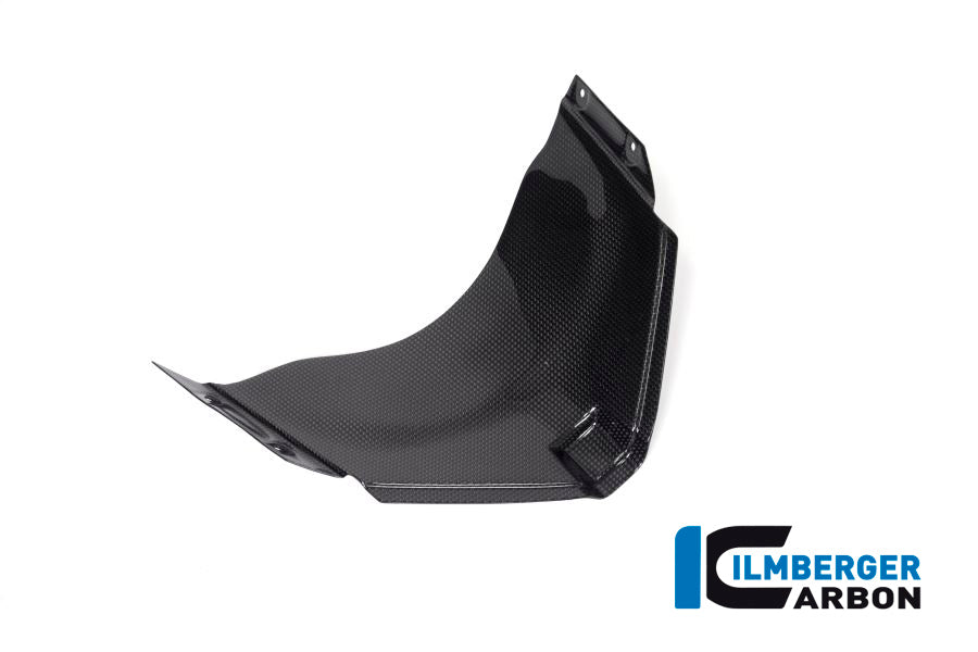 Ilmberger Carbon | Panel under the front fairing gloss Panigale V4 Racing — Ducati Panigale V4 Racing from 2018