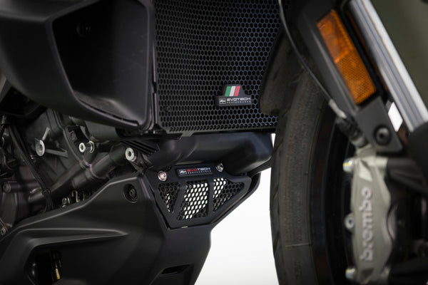 Evotech Performance Engine Guard Infill Panel - Ducati Multistrada V2 S (2025+)