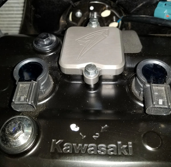 Graves Motorsports Kawasaki Ninja 650 / ER 650 / Z650  Smog Block Off Plate