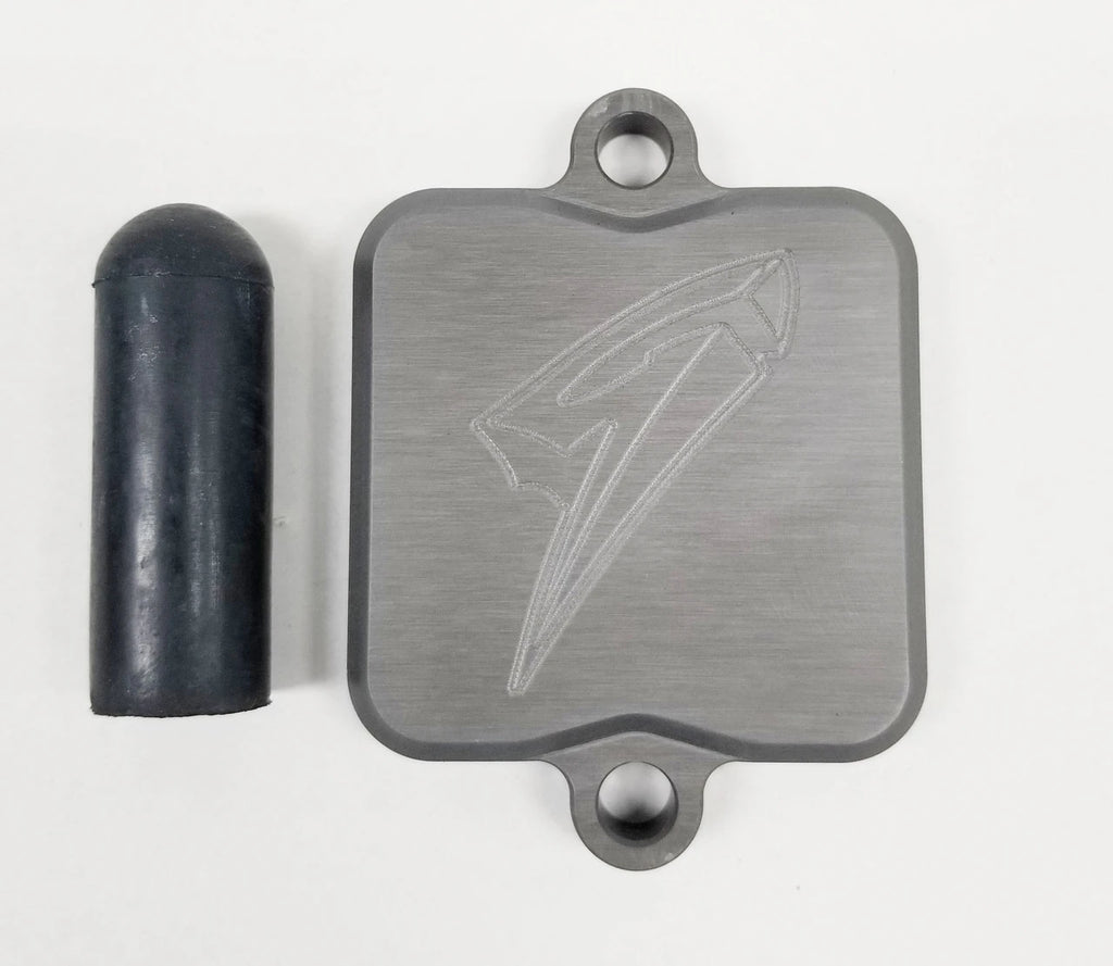Graves Motorsports Kawasaki Ninja 650 / ER 650 / Z650  Smog Block Off Plate