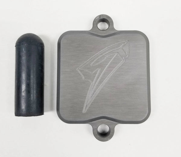 Graves Motorsports Kawasaki Ninja 650 / ER 650 / Z650  Smog Block Off Plate
