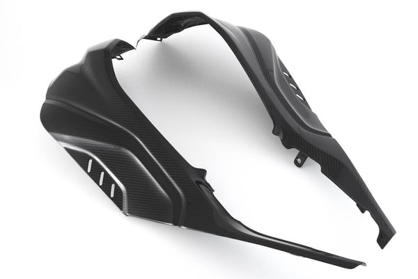 side panels carbon for BMW S1000 RR