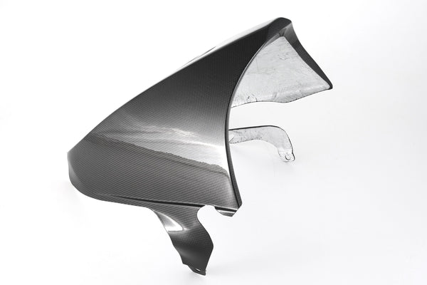 MOTOCORSE Bellypan - 1299 Superleggera / Final Edition Trama del carbonio e finitura superficiale - 200P – Plain