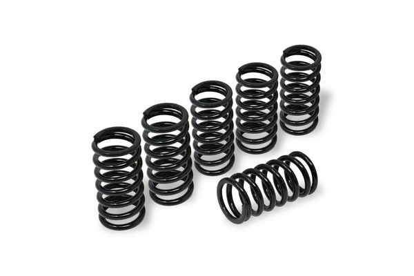 CNC RACING | Clutch springs H45 - BMW