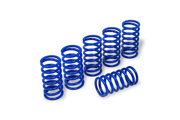 CNC RACING | Clutch springs H45 - BMW