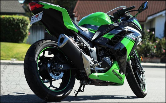 TST Standard Fender Eliminator | Multiple Models