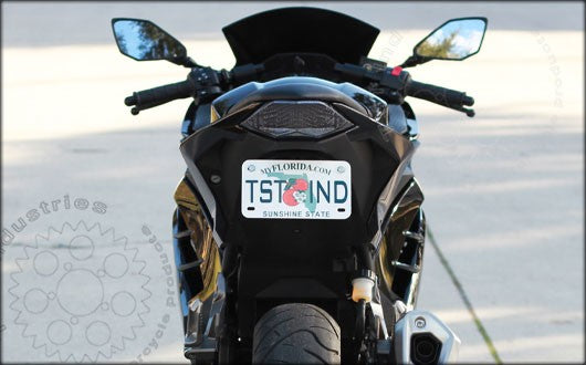 TST Programmable And Sequential LED Integrated Tail Light Kawasaki 2013-2017 Ninja 300 | Multiple Models