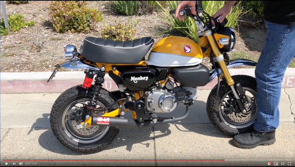 MONKEY 19-26 Straight Cyclone Full Exhaust