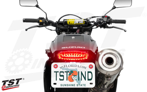 TST LED Integrated Tail Light & Fender Eliminator System for Suzuki DR650 2001+