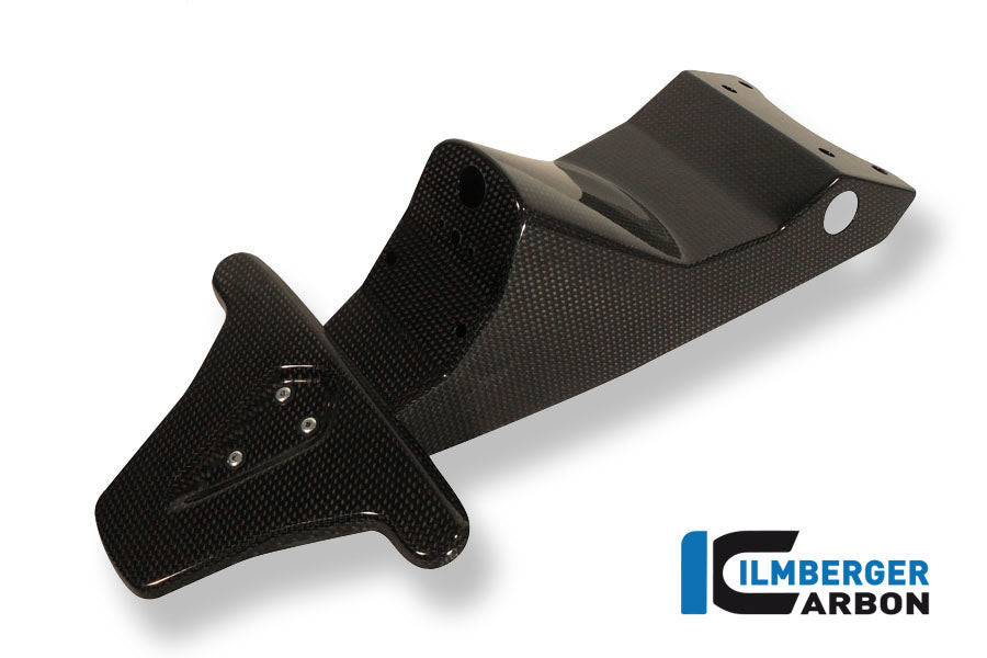 Ilmberger Carbon | License plate holder (incl. taillight cover with indicator mount) Carbon Triumph Speed Triple 1050