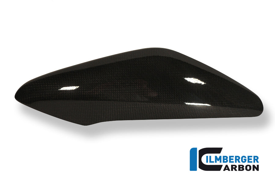 Ilmberger Carbon | Side cover above the radiator right carbon — Triumph Speed Triple 2011