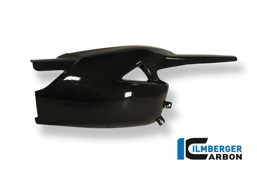 Ilmberger Carbon | Swingarm Protection Carbon — Triumph Speed Triple 2011