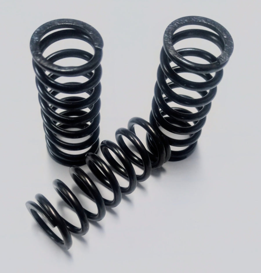 Graves Motorsports Kawasaki Ninja 400 WORKS Clutch Spring Kit