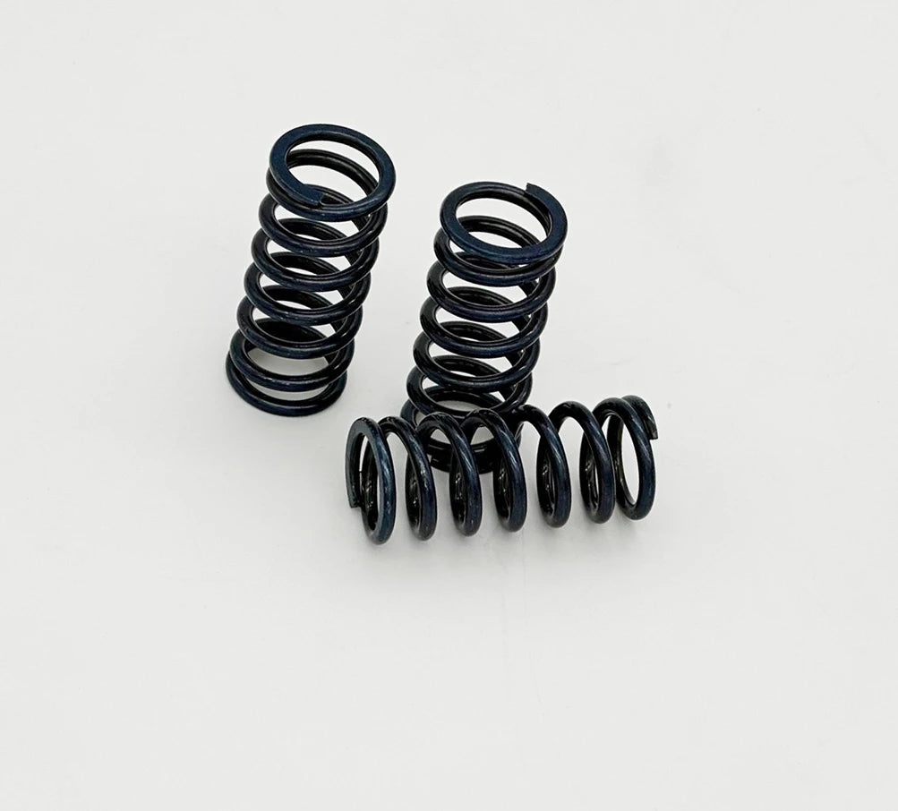 Graves Motorsports Kawasaki ZX-4RR / Ninja 500 WORKS Clutch Spring Kit