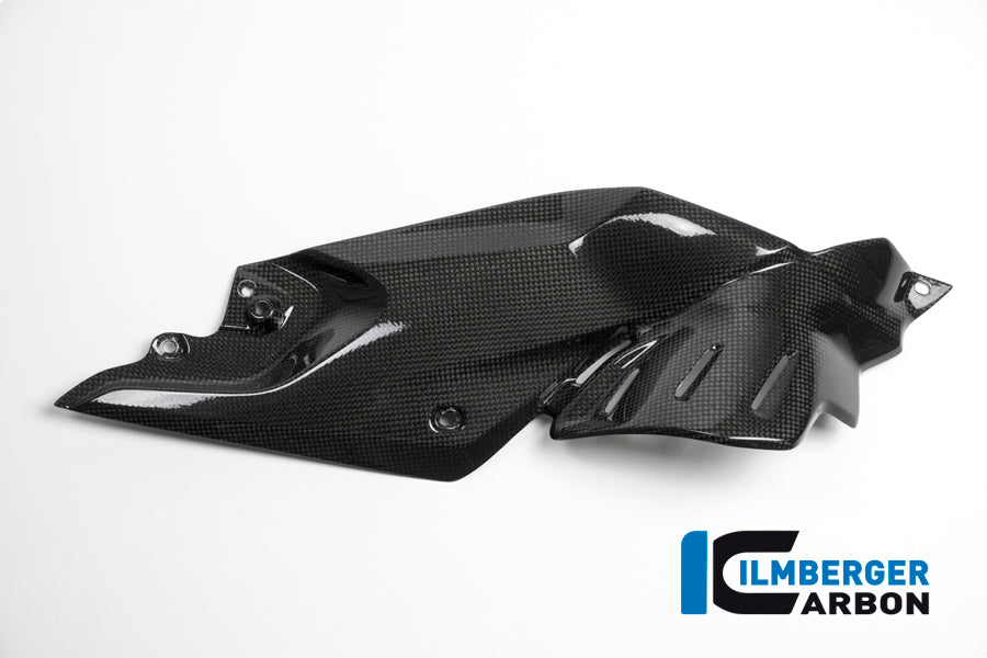 Ilmberger Carbon | Side cover under tank right carbon — BMW R 1200 R LC from 2015