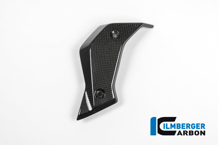 Ilmberger Carbon | Water radiator cover left carbon — BMW R 1200 R LC from 2015