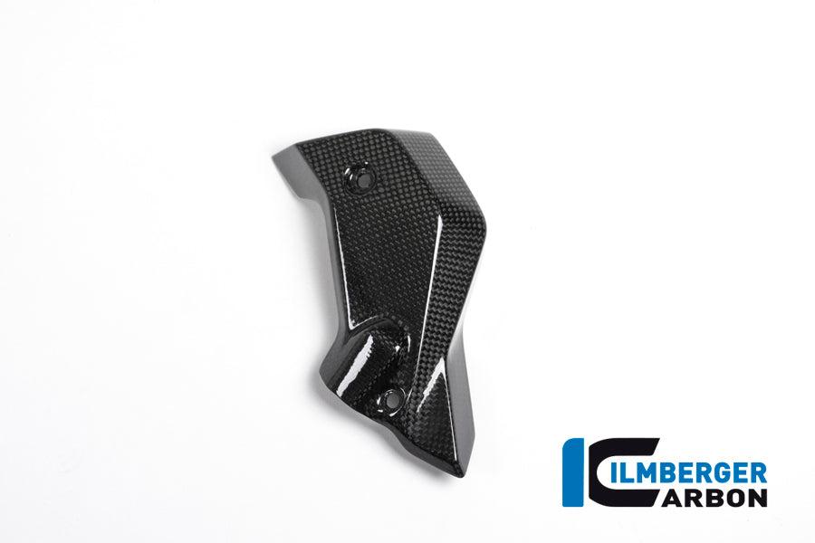 Ilmberger Carbon | Water radiator cover right carbon — BMW R 1200 R LC from 2015