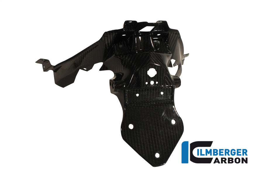 Ilmberger Carbon | License Plate Holder Carbon — BMW C 600 Sport from 2012