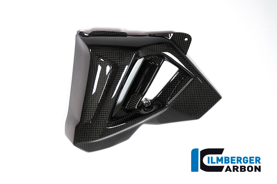 Ilmberger Carbon | Left water radiator cover — BMW F 800 R 2015