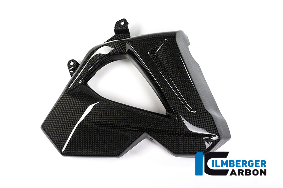 Ilmberger Carbon | Right radiator cover — BMW F 800 R 2015