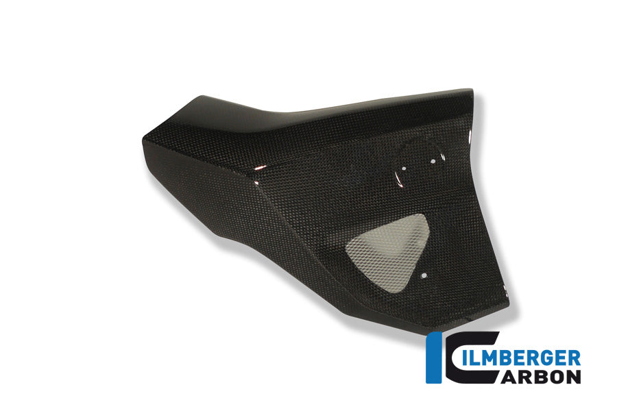 Ilmberger Carbon | Water radiator cover right carbon — BMW F 800 R 2009-2011