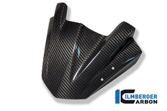 Ilmberger Carbon | Windshield Carbon — BMW K 1300 R from 2008