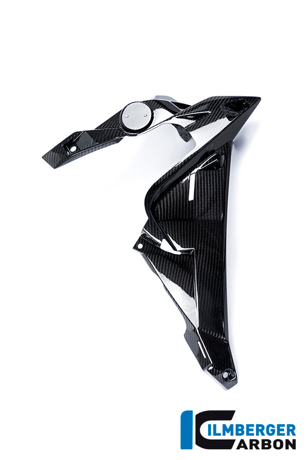 Ilmberger Carbon | Water radiator cover right carbon — BMW S 1000 R 2014-2016