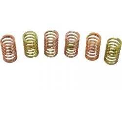 Carbon4us Exclusive Racing Dry Clutch Springs Kit – Ducati