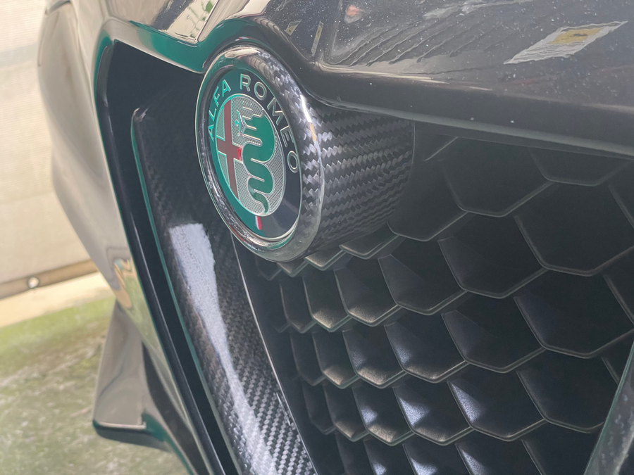 Carbonvani Alfa Romeo Stelvio Cornice Logo Centrale