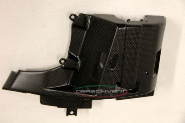 CARBONVANI Ducati Monster 821 / 1200 Canister Cover