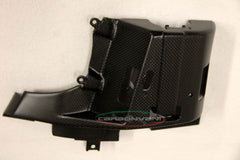 CARBONVANI Ducati Monster 821 / 1200 Canister Cover