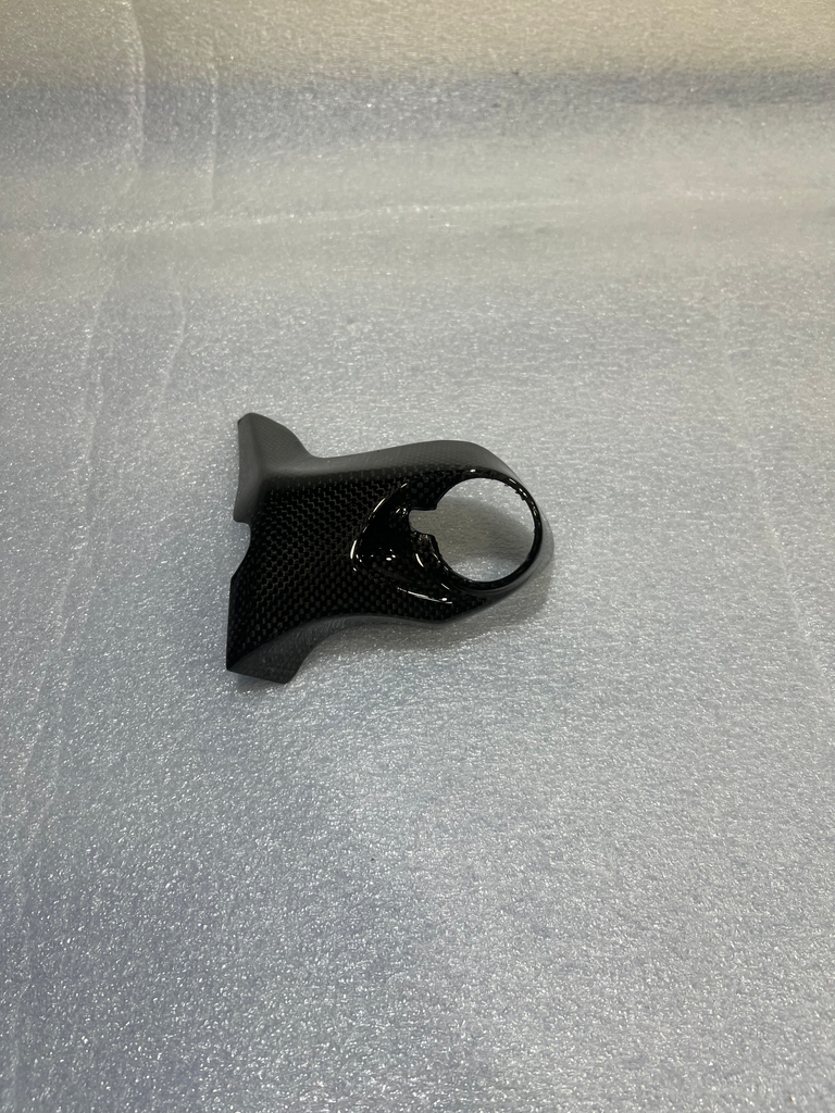 CARBONVANI Ducati Monster 821 / 1200 Left Water Radiator Cap Protector