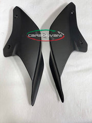 CARBONVANI Ducati Panigale V4 2020–2021 Biposto Tail Section