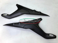 CARBONVANI Ducati Panigale V4 2020–2021 Rear Frame Covers