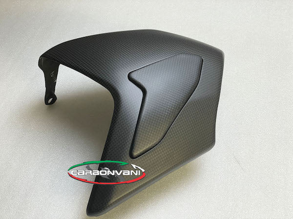 CARBONVANI Ducati Streetfighter V4/S 2022–2024 DPS Swingarm Cover
