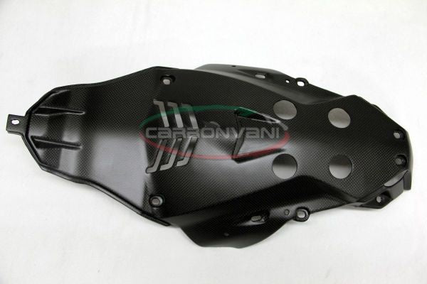 Carbonvani MV Agusta Rivale Undertail